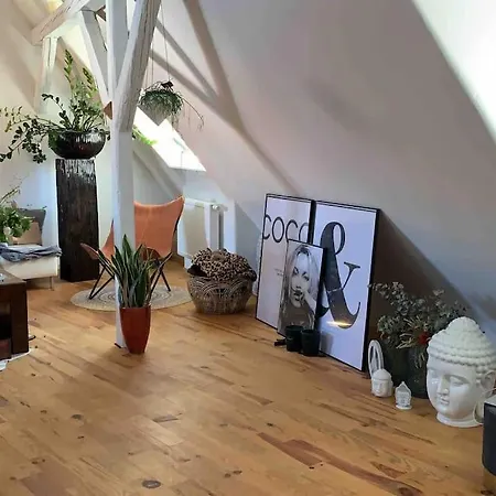 Prázdninový dům Maison Boho Pfalz