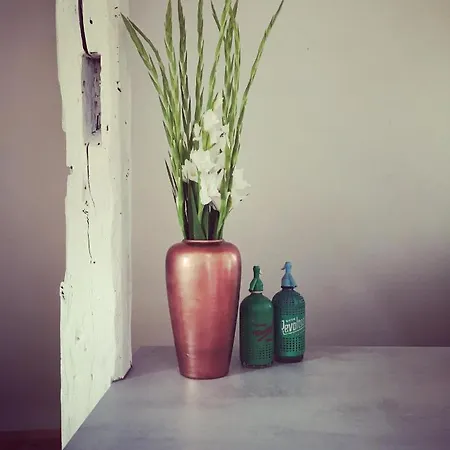Maison Boho Pfalz Prázdninový dům